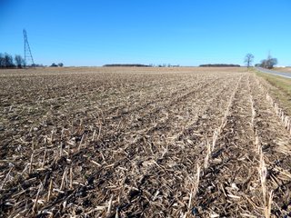 Property photo 3 - REAL ESTATE AUCTION - 100+/- ACRES IN 5 TRACTS IN NOBLE COUNTY, INDIANA